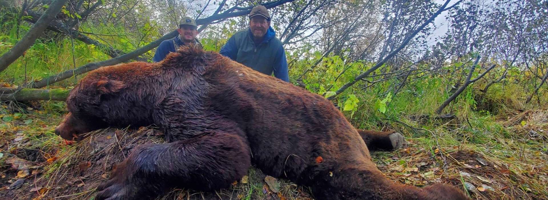 Guided Baited Brown Bear/Black Bear Hunts Guided Baited Brown Bear/Black Bear Hunts